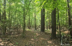 Hoke Road, Heath Springs, SC 29058