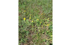 12.86ac Barberry Avenue, Newaygo, MI 49337