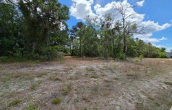 U.S. Highway 19, Spring Hill(Pasco), FL 34610