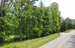 Tract 2 Timber Ridge Road, Blairsville, GA 30512