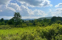 VL White Creek Road, Friendship, NY 14739