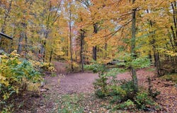45715 Krafts Point Road, Cable, WI 54821