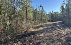 Straw Bridge Rd lot: 56, Jay, FL 32565