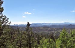 203 Mattapony Way, Red Feather Lakes, CO 80545