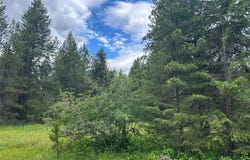 NHN Sapphire Lane lot: 13, Trout Creek, MT 59874