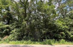 181 Maple Ln, Other, TX 77357-2836