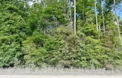 OBrien, FL 32071