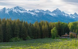 450 E PHELPS CANYON Road, Jackson, WY 83001