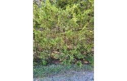 6 W Ridgewood Circle, Linn Valley, KS 66040