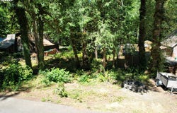 65065 E LUPINE DR, Rhododendron, OR 97049