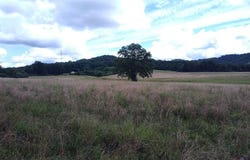 460 Skaggs Road, Morehead, KY 40351