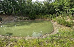 10152 Spool Lane, Potosi, MO 63664