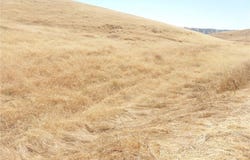 0 Douglas Rd. (Lot 42), San Miguel, CA 93451