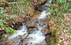 Tilley Creek Rd, Cullowhee, NC 28723