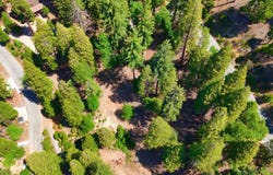 7220 Yosemite Park Way, Yosemite West, CA 95389