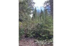 4 Royce Pine RD, Crescent Lake, OR 97733