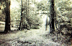 Chemekette Rd, Robert, LA 70455