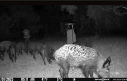 180 Bee Hive Rd, Hunt, TX 78024
