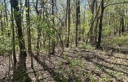 L42a & 43a Eaglecrest Road, Cape Fair, MO 65624