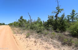 Lot 13 Petty Road, Marianna, FL 32448