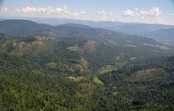 NNA Pup Paw Trail, Priest River, ID 83856