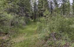 E Jump Off Rd, Valley, WA 99181