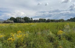 State Road 240 West, Ranchos de Taos, NM 87557