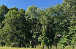 County Road 7550, Baldwyn, MS 38824