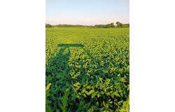 TBD 550N Road, Grovertown, IN 46531