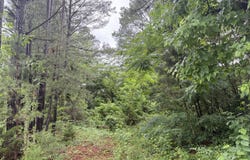 552 Thomas Street, Henderson, NC 27537