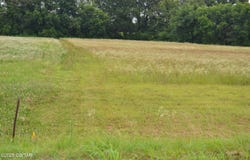 376 D O Laman Road, Alamo, TN 38001