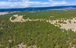 TBD W Argyle Road, Custer, SD 57730