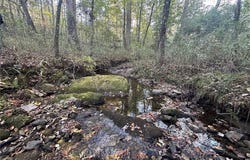 10 Lee Mashburn Road, Dahlonega, GA 30533