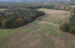 Redcut Rd, Fouke, AR 71837