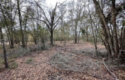 FM 141, Dime Box, TX 77853