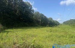 196 County Road 230, Hollywood, AL 35752