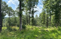 5672 West AR Highway 56, Brockwell, AR 72517