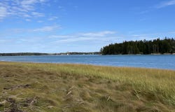 Pyne Cove Road lot: #3, Steuben, ME 04680