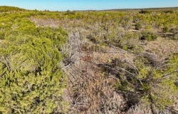 000 Big Country Trail, Strawn, TX 76475