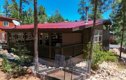 4481 S Elk Trot Loop, Show Low, AZ 85901
