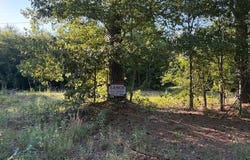 Hempstead 49, Fulton, AR 71838