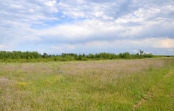 Abc 110th Street, Menahga, MN 56464