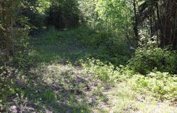 NHN Patrick Creek Road, Kalispell, MT 59901