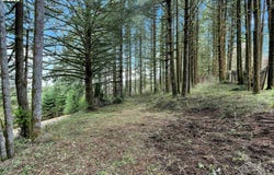 22900 NE HOLLY HILL Rd, Hillsboro, OR 97123