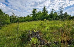 Iron Horse Lane lot: 6, Dryfork, WV 26263