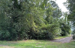 Rowland, NC 28383