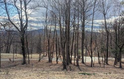 2005 UPPER STONY RUN, GREENWOOD, VA 22943