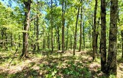 169375 Indian Highway, Talihina, OK 74571