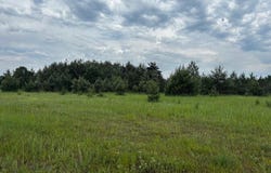 4856 Mancelona Road, Mancelona, MI 49659