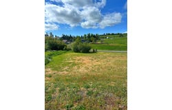 811 Trestle Dr, CottonWood, ID 83522